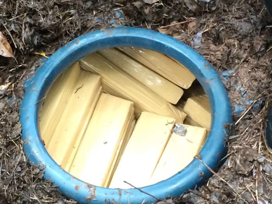 Polícia apreende 500 quilos de maconha em Hortolândia