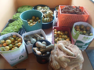 Exageros nas comilanças de final de ano 3