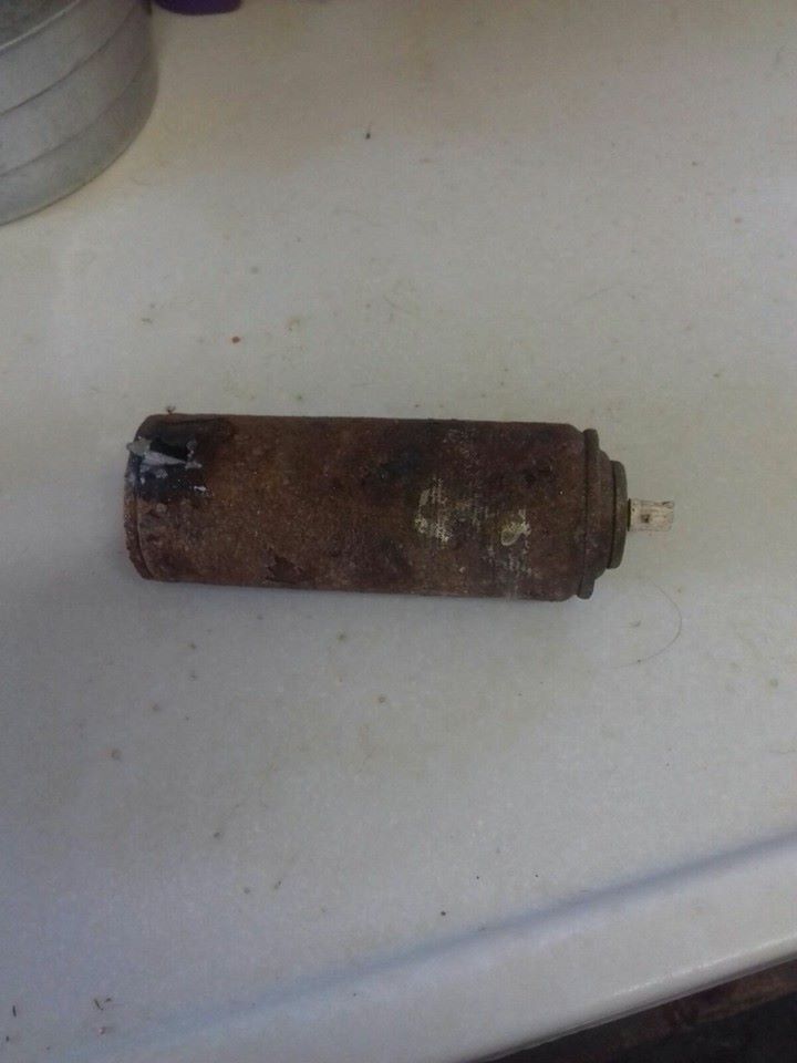 Mais uma Ong de proteção animal sofre atentado