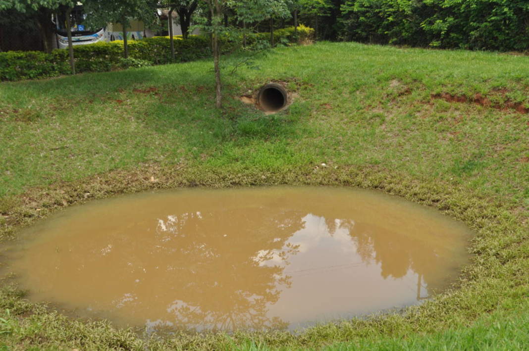 Consórcio PCJ recomenda bacias de retenção para reserva de água da chuva