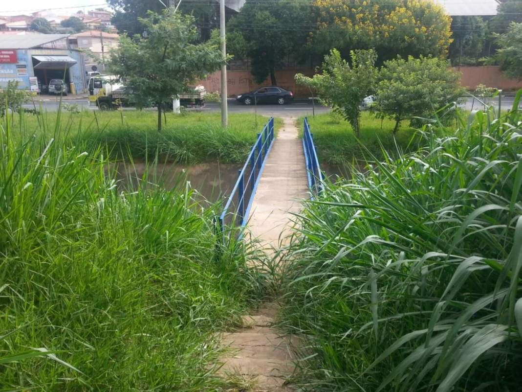 Ponte para pedestres é tomada pelo mato alto no Piçarrão