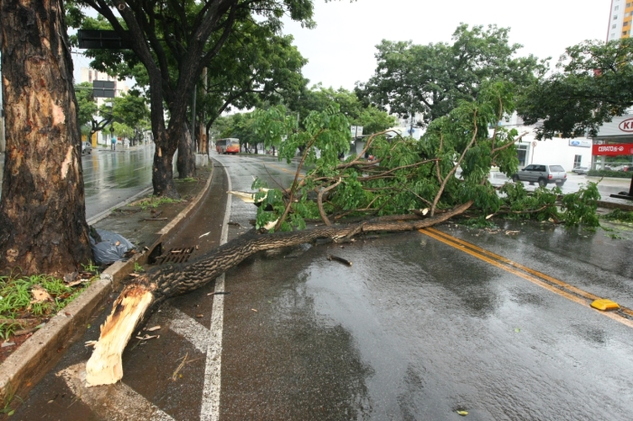 Temporal com ventos de até 80km por  hora causou estragos na região nesta segunda-feira