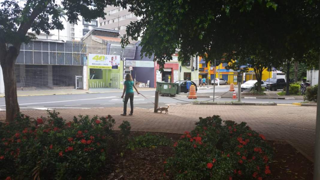 Defesa animal pede discussão ampla sobre a liberação de cães em parques de Campinas