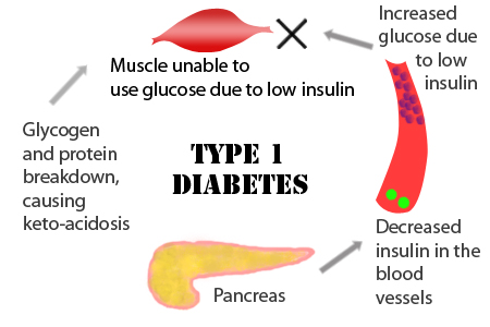 Importância da cardiologia para diabéticos 2