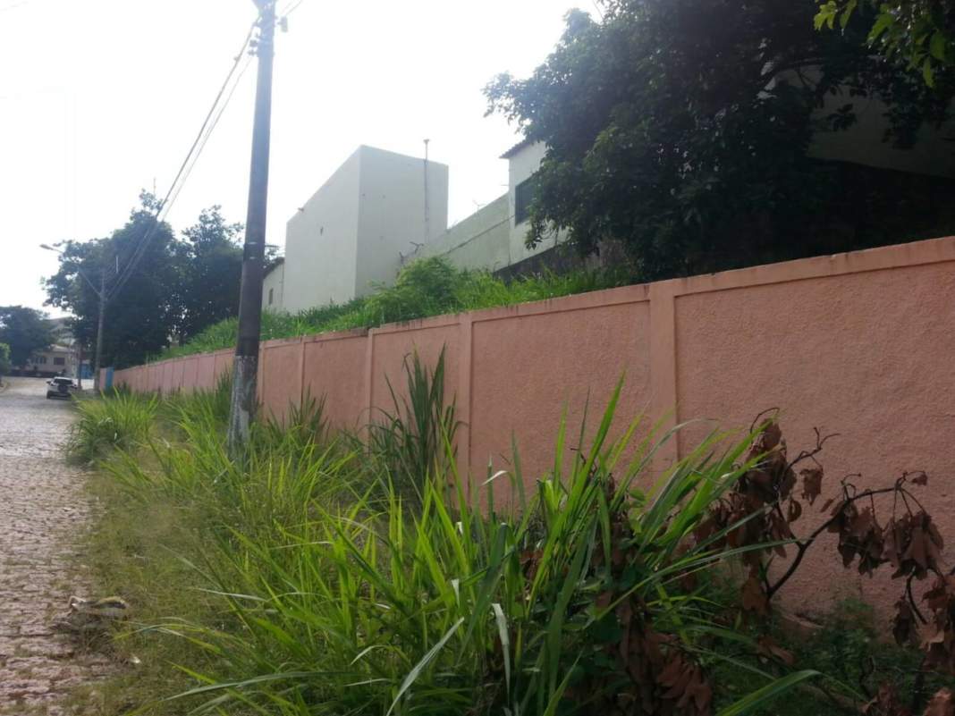 Escola em Campinas volta às aulas tomada pelo mato alto