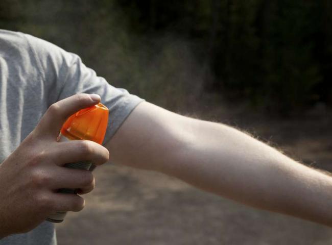 Zica Vírus e dengue  fazem repelentes  sumirem das prateleiras das farmácias