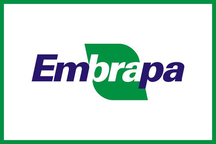 Chefe geral da EMBRAPA, Evaristo de Miranda, fala sobre mapeamento feito via satélite, das áreas com risco de dengue na região.