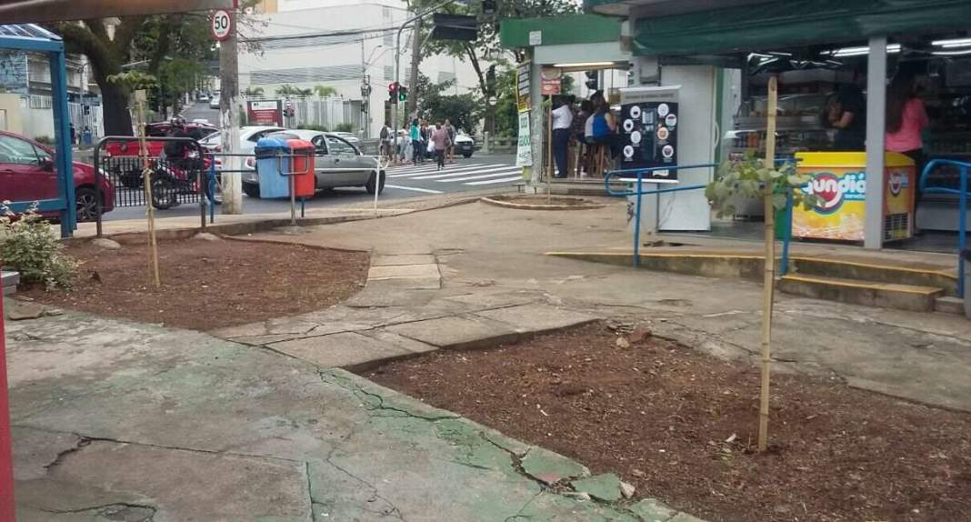 Frequentadores de praça de Campinas lamentam a retirada de árvores