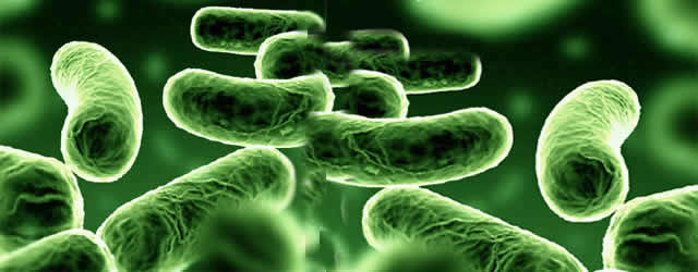 Hospital de Americana registra infecção por superbactéria KPC