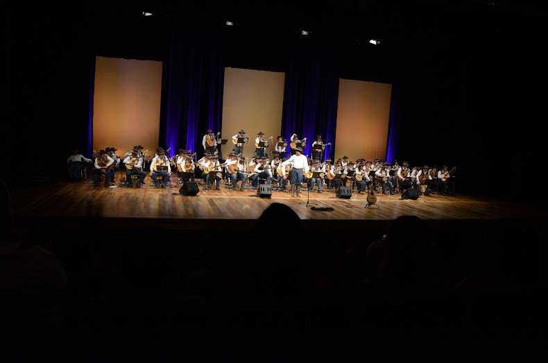 Orquestra Paulistana de Viola Caipira  realiza  concerto de graça neste sábado , em Campinas