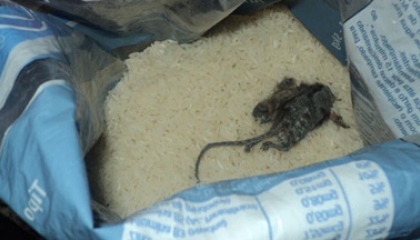 Rato é  encontrado dentro de embalagem de arroz de cesta básica