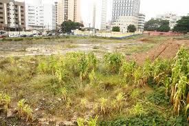 Terreno da antiga rodoviária continua causando transtornos