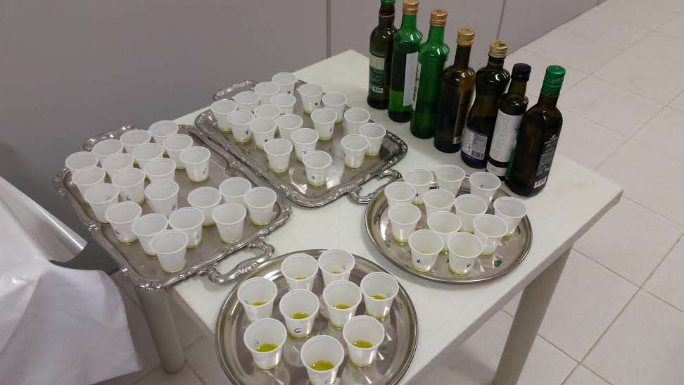 Estúdio Agro: quadrilha falsificava azeite