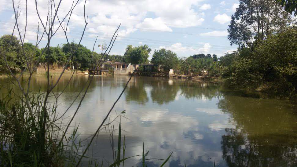 Após 1 mês da chuva, moradores do Piracambaia ainda sentem impactos