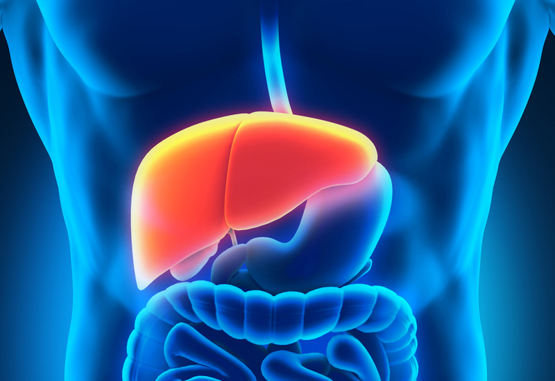 Saúde do Fígado 5