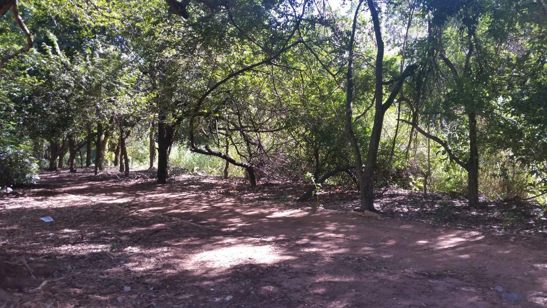 Abandono do Parque Linear Ribeirão das Pedras incomoda moradores de Barão Geraldo