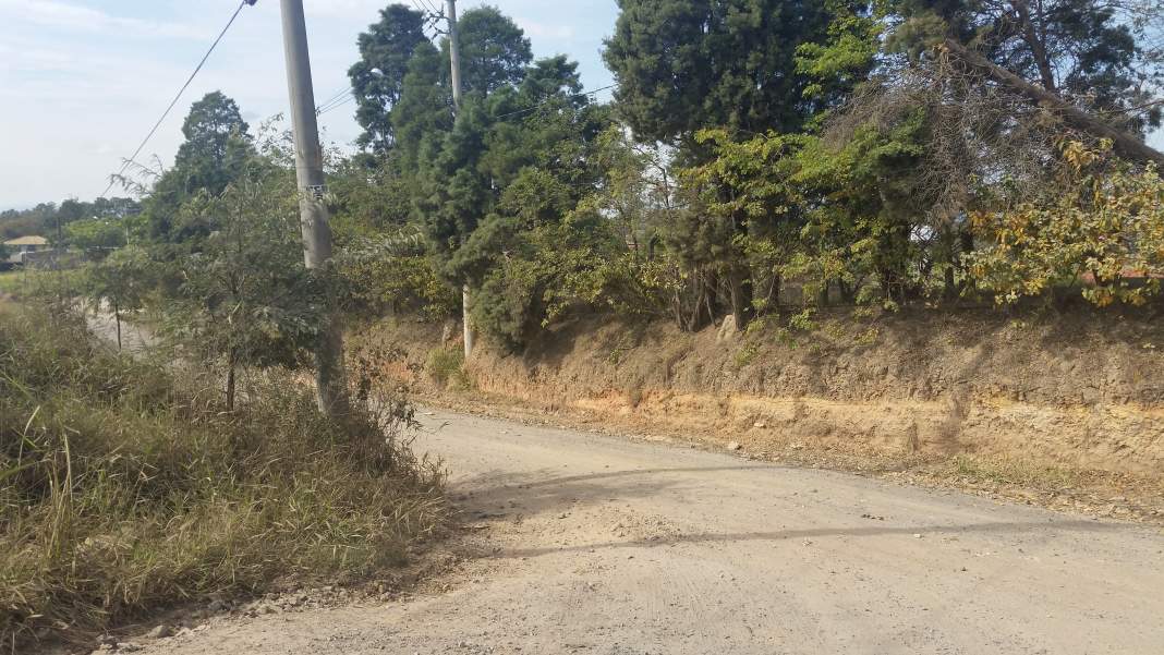 Infraestrutura e Transporte são os problemas que mais afetam a população de Monte Mor