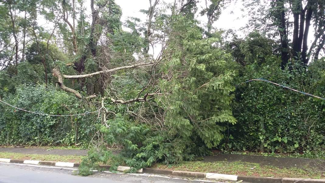 Temporal provoca diversos estragos em Campinas