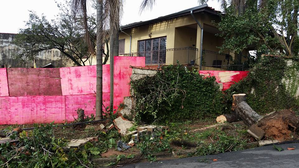 Campineiros contabilizam prejuízos após microexplosão