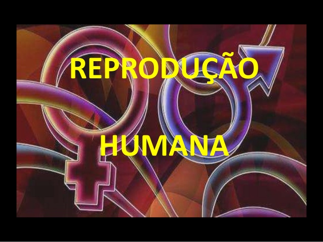 Reprodução Humana 3
