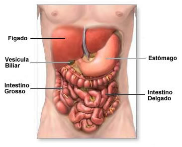 Problemas no Aparelho Digestivo e Novas Cirurgias 5
