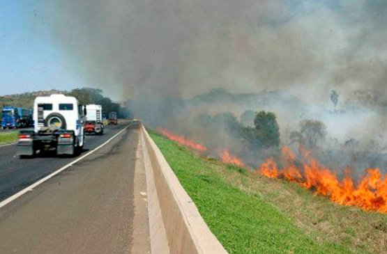 Cresce o número de queimadas em rodovias da região