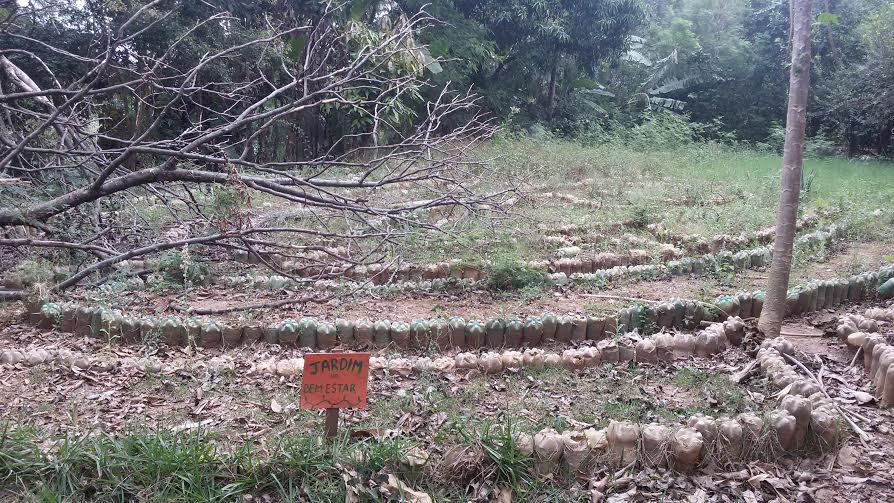 Falta de limpeza faz ONG suspender atividade em horta comunitária na V. Brandina