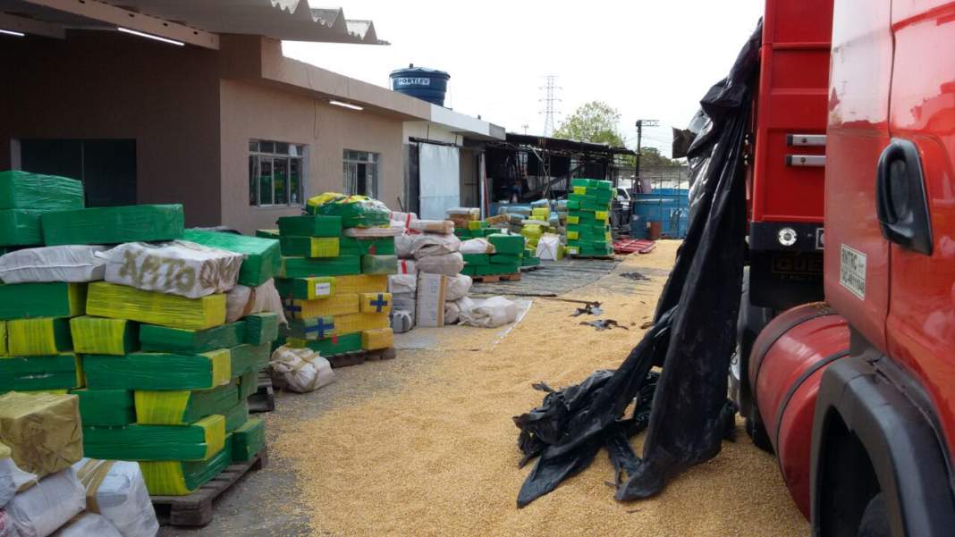 Polícia apreende quase 16 toneladas de maconha na região de Piracicaba