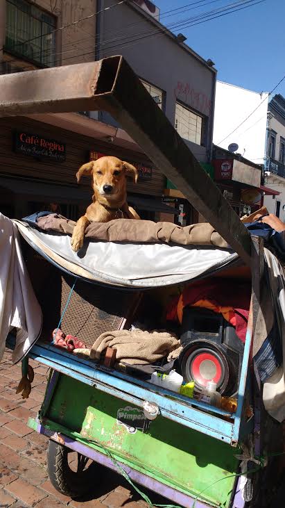 Crise derruba produção de lixo e aumenta o número de catadores de recicláveis