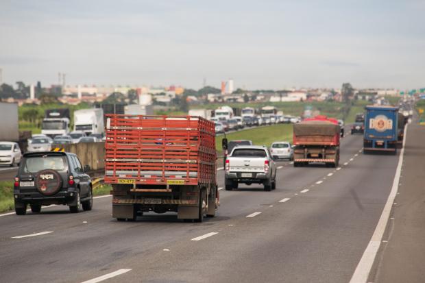 Dom Pedro terá interdição de quatro meses nos Amarais