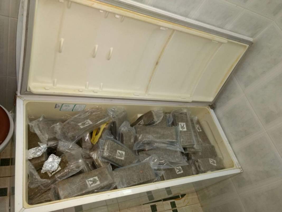 Guarda Civil Municipal de Limeira apreende 272Kg de maconha em casa no bairro Boa Vista