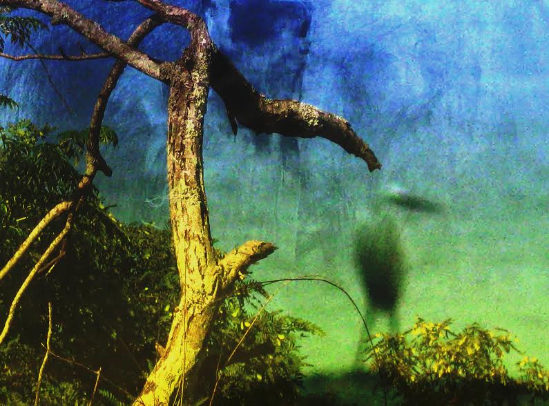 Recorte expressivo do acervo do MACC está aberto para visitação até o final deste mês