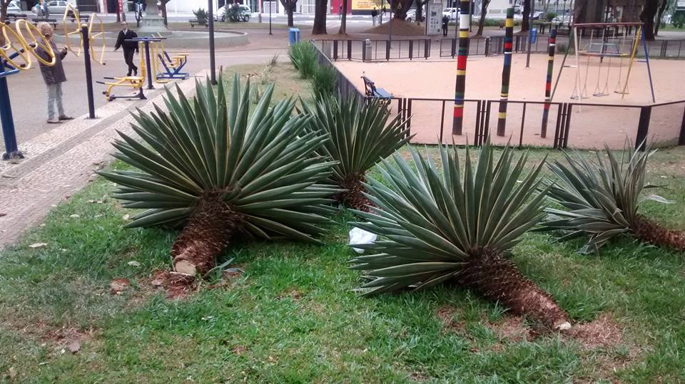 Vândalos não dão trégua ao Largo do Pará