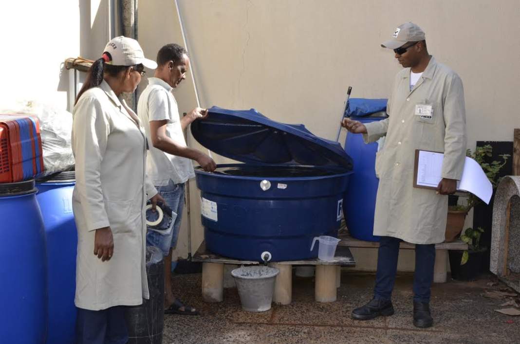 Casos de dengue despencam em Sumaré