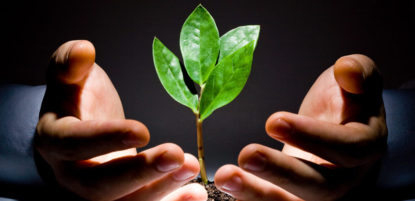 Sete cidades da RMC recebem certificado por boa gestão ambiental