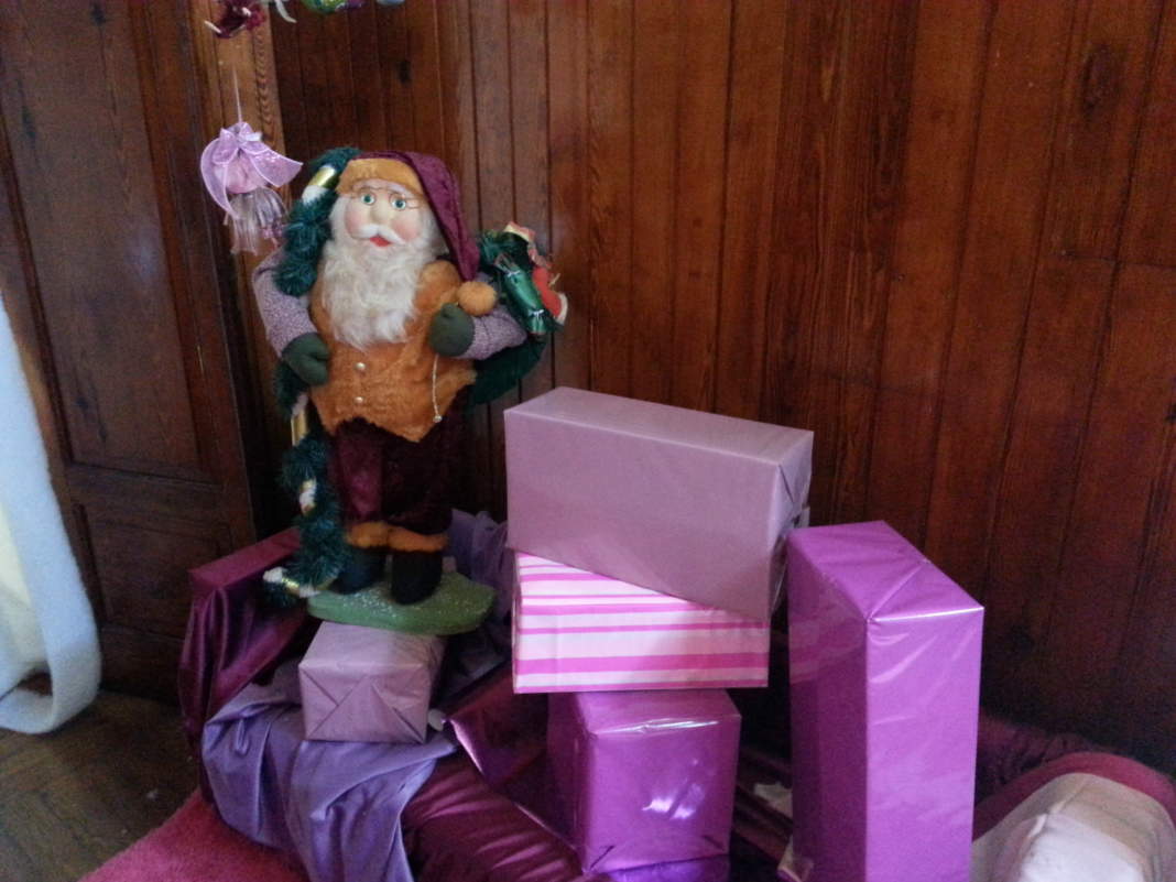 Palácio do Papai Noel é a maior atração de natal de Campinas