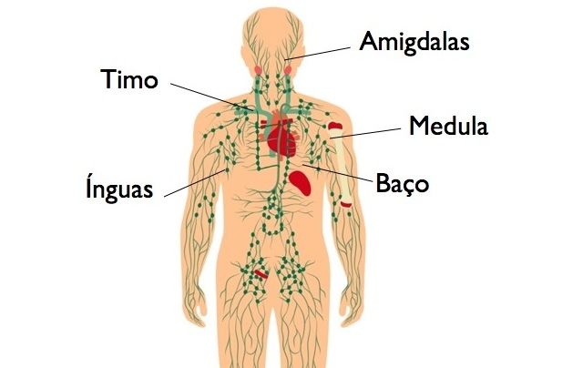 Linfoma de Hodgkin 3