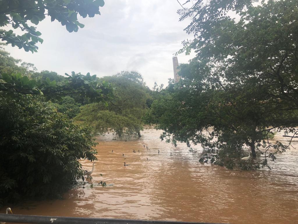 Volume de chuva na 1ª semana de janeiro se aproxima da média mensal
