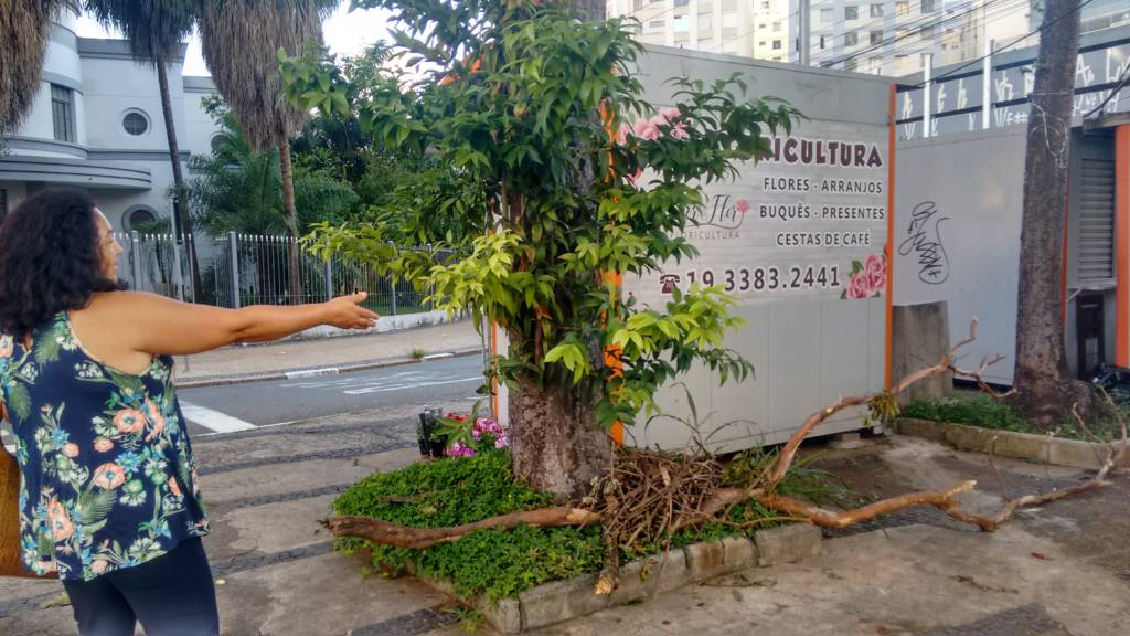 CPFL diz que prefeitura sequer fez pedido para projeto do córrego da Orosimbo Maia