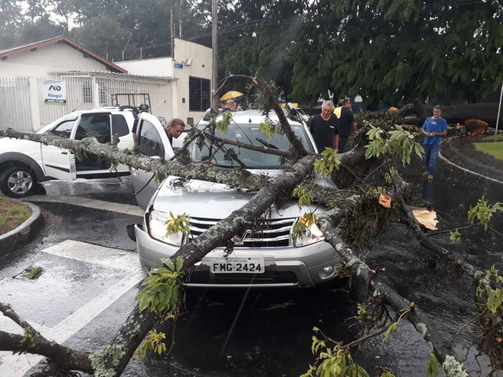Árvores caem sobre carros e casas durante chuva, em Piracicaba