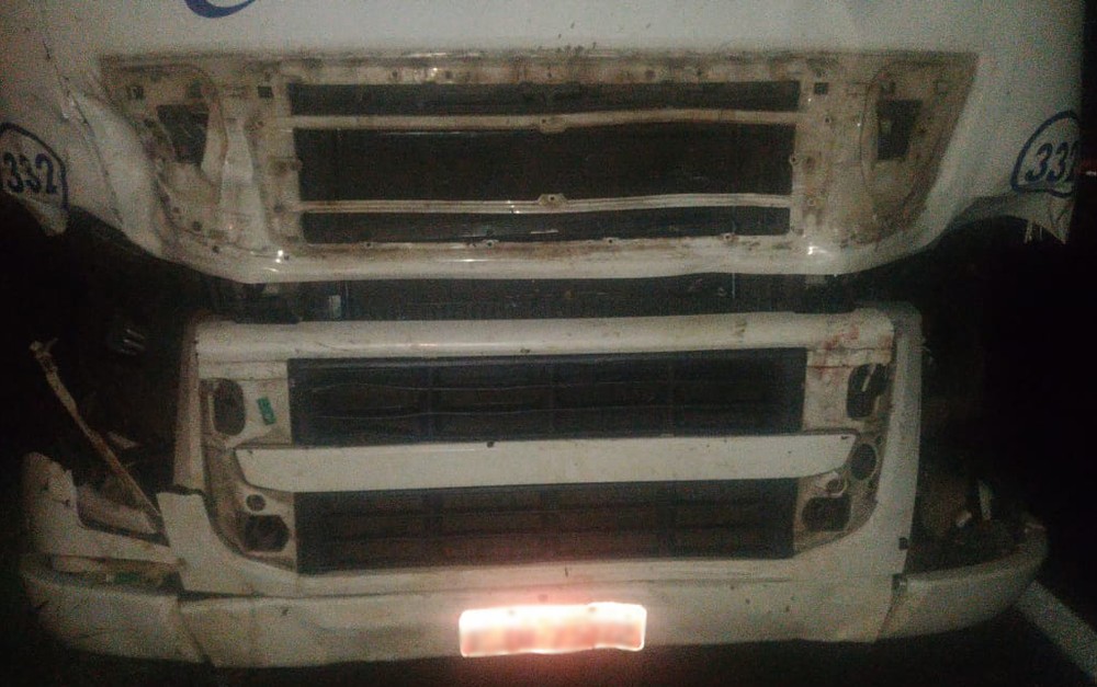 Oito vacas morrem atropeladas em acidente na Rod. Luiz de Queiroz