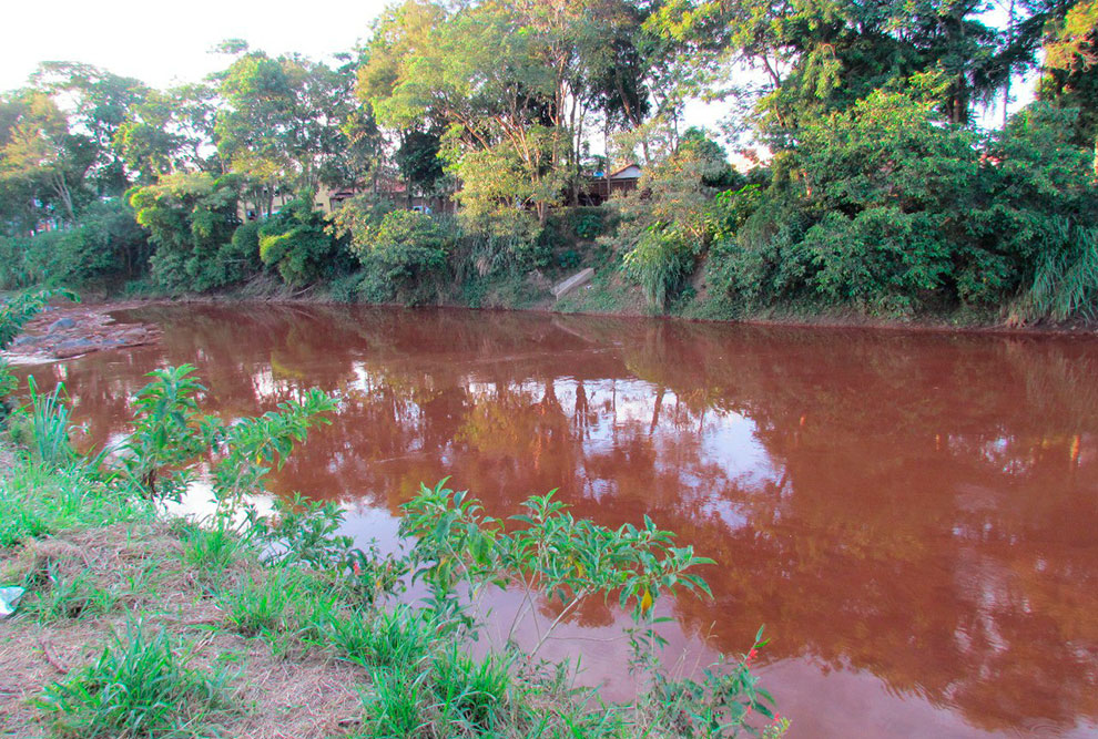 Professor relata situação de rio afetado pelo rompimento de barragem em Brumadinho