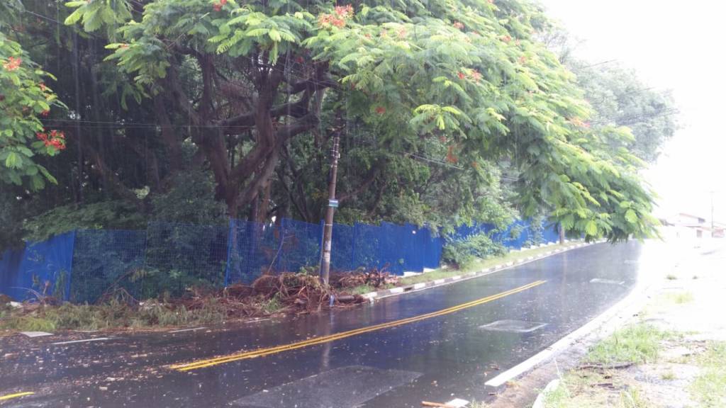 Mães reclamam de mato e falta de professores em escolas