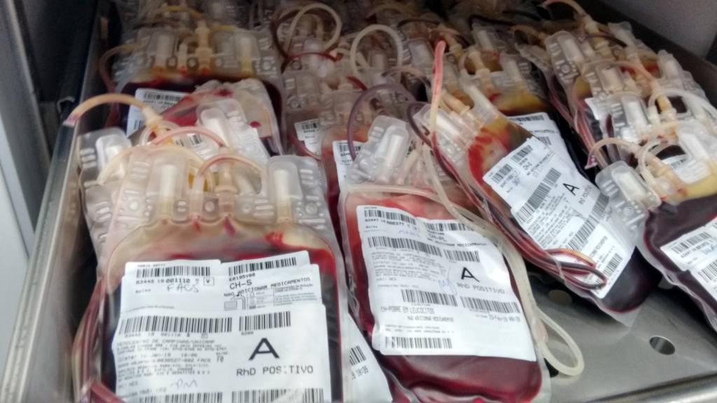 Doação de Sangue 3