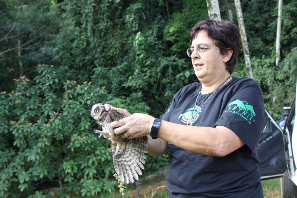 Animais silvestres são reintegrados na natureza em Vinhedo