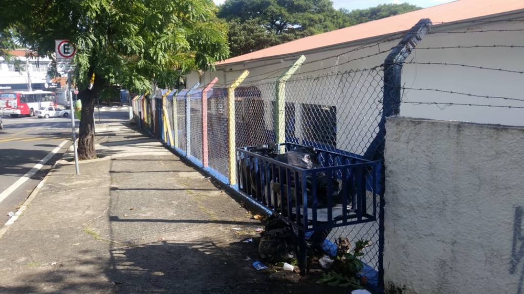 Escorpiões em creche de Campinas preocupam pais