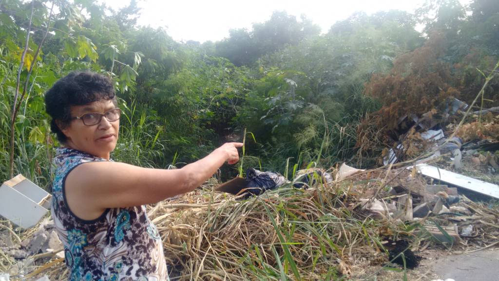 Em meio a epidemia de dengue, lixões a céu aberto são encontrados com facilidade