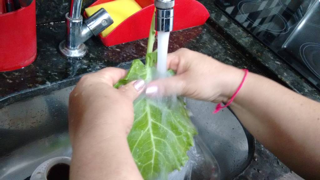 Devisa afirma que não há motivos para pânico sobre surto de toxoplasmose em escola da rede privada em Campinas