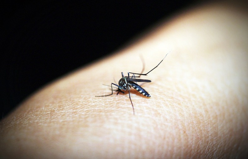 Quinta morte por febre hemorrágica em Americana