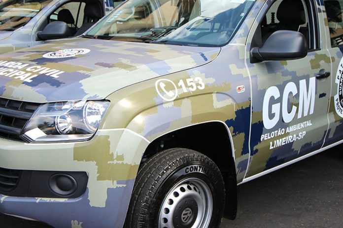 Homem descarta pneus em estrada e é multado em R$ 7,9 mil